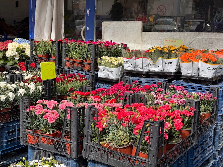 An outdoor display of potted flowering plants arranged in black plastic crates, featuring vibrant pink, red, white, yellow, and orange blooms. Some plants have lush green leaves, with petals showing f